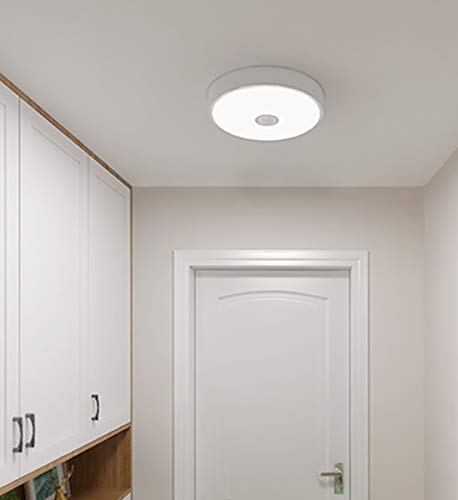 Yeelight Ceiling Light Mini