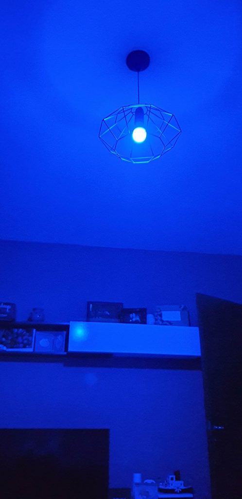 Kit Alexa Avidsen - lampadina rgb - blu