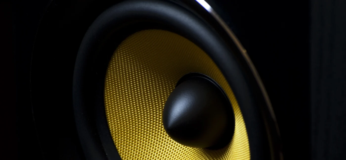 Speaker generico