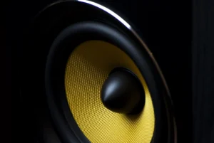 Speaker generico