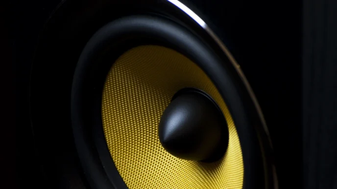 Speaker generico